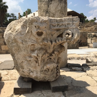 A capital unearthed at Beit Shean. (Photo © 2019 by V. Nesdoly)